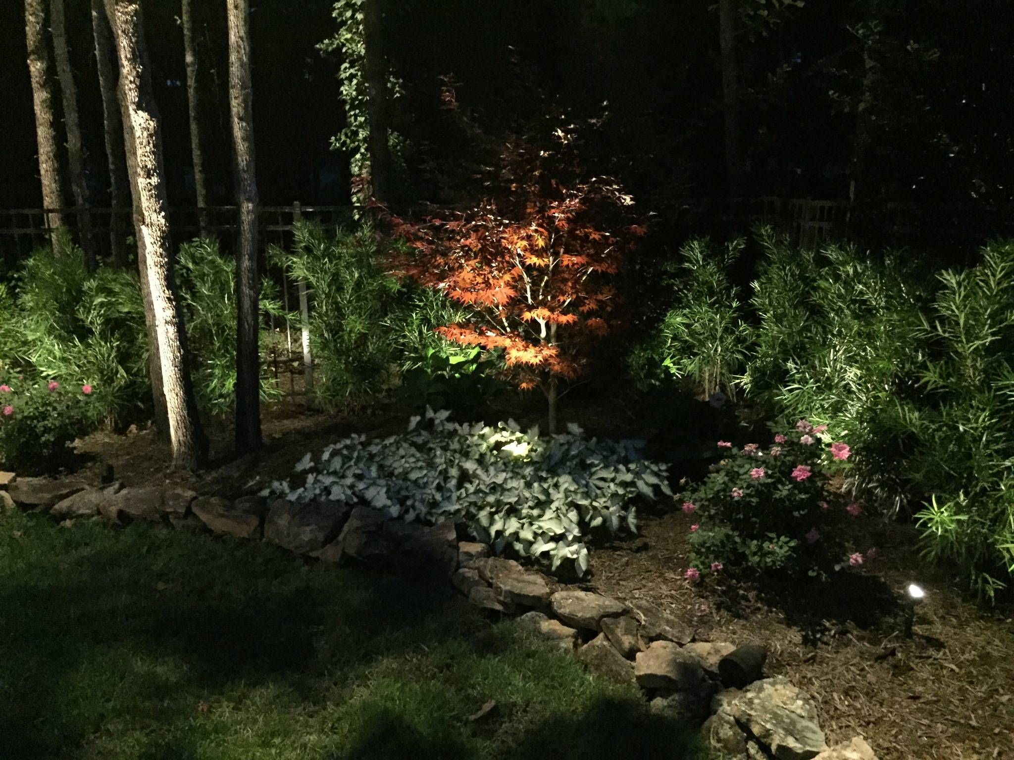 Landscape Lighting