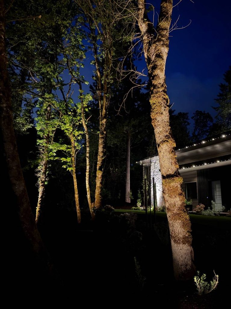 Landscape Lighting image 2