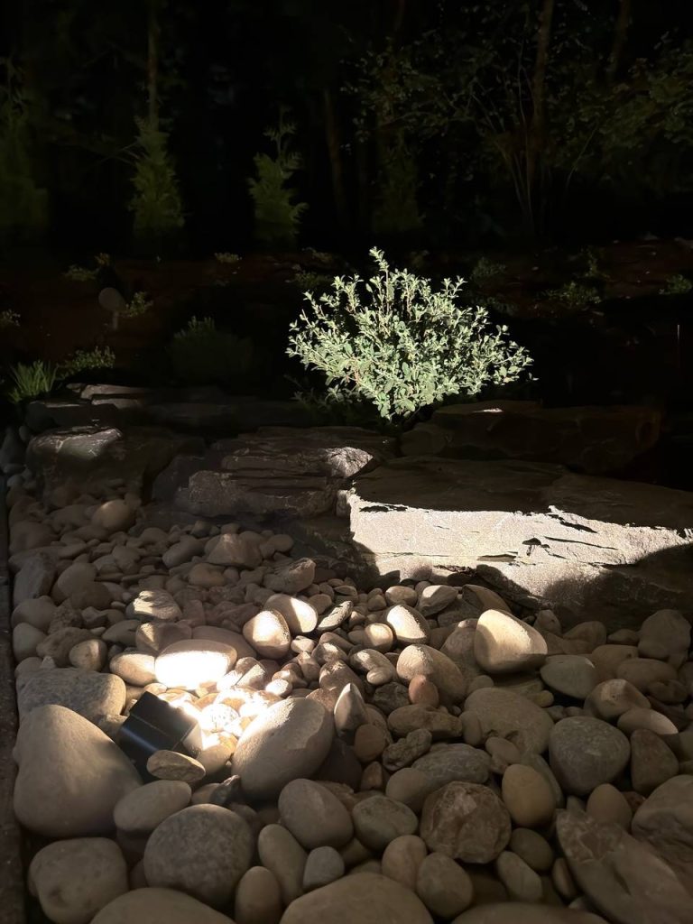 Landscape Lighting image 12