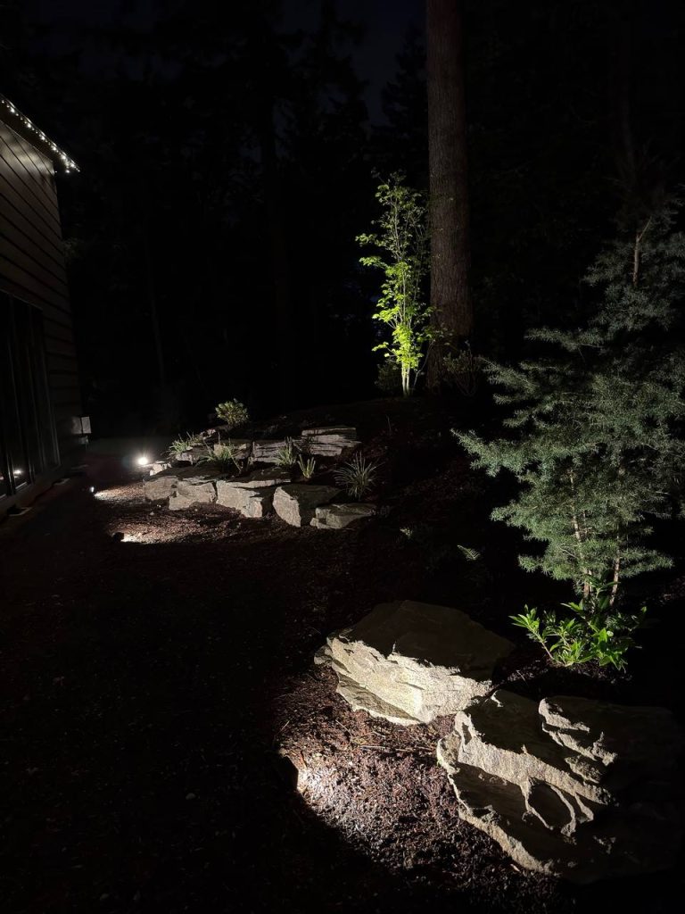 Landscape Lighting image 13