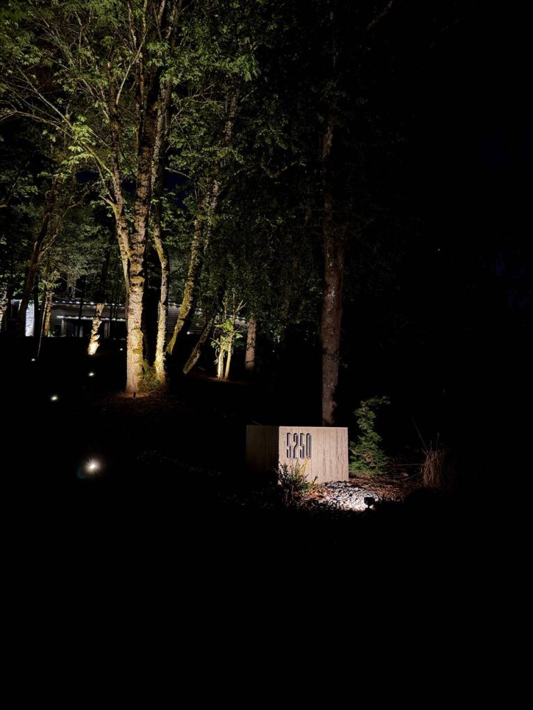 Landscape Lighting image 15