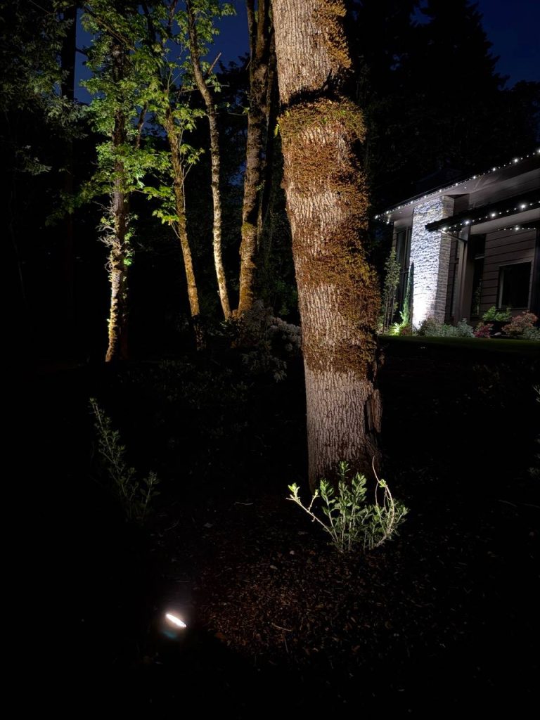 Landscape Lighting image 3