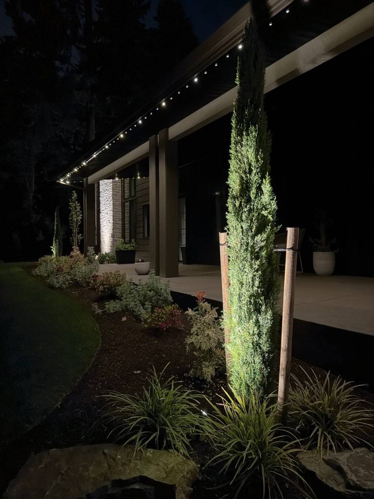 Landscape Lighting image 4