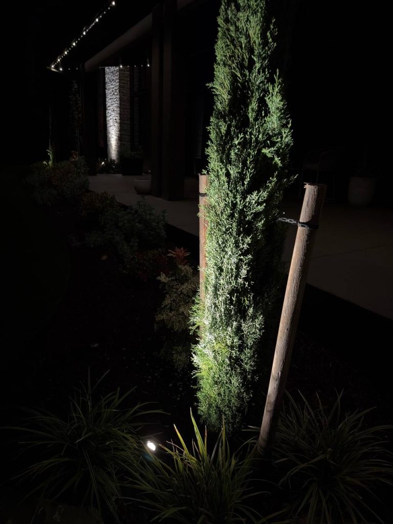 Landscape Lighting image 5