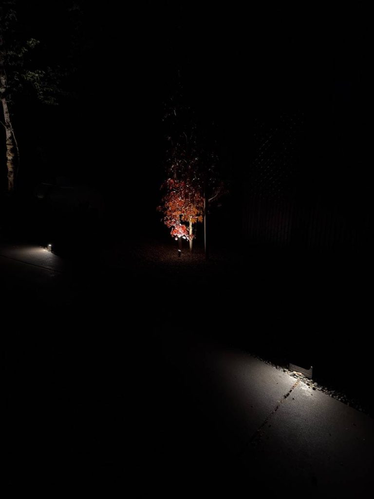 Landscape Lighting image 6