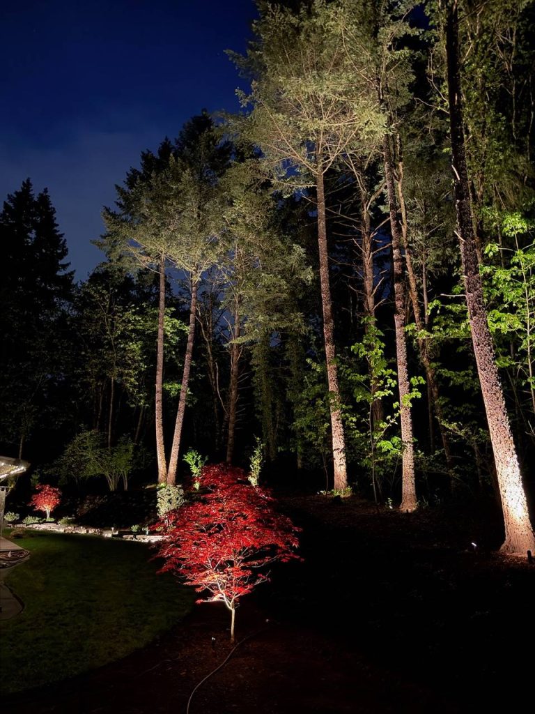 Landscape Lighting image 7