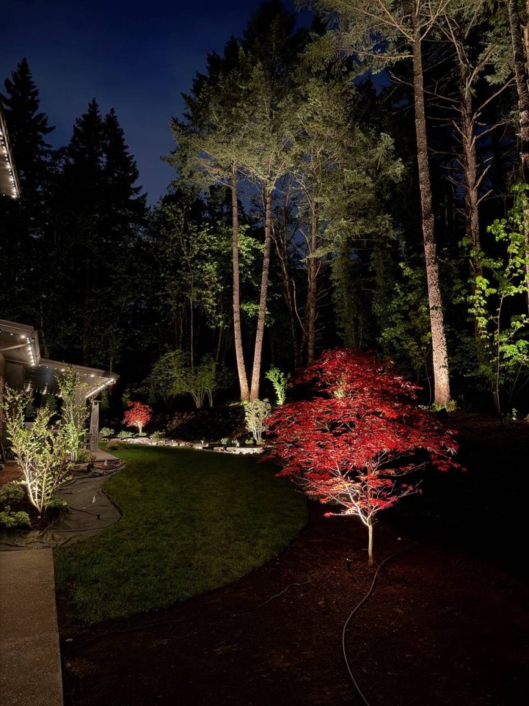 Landscape Lighting image 8