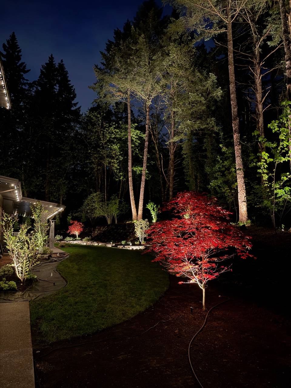Landscape Lighting image 1