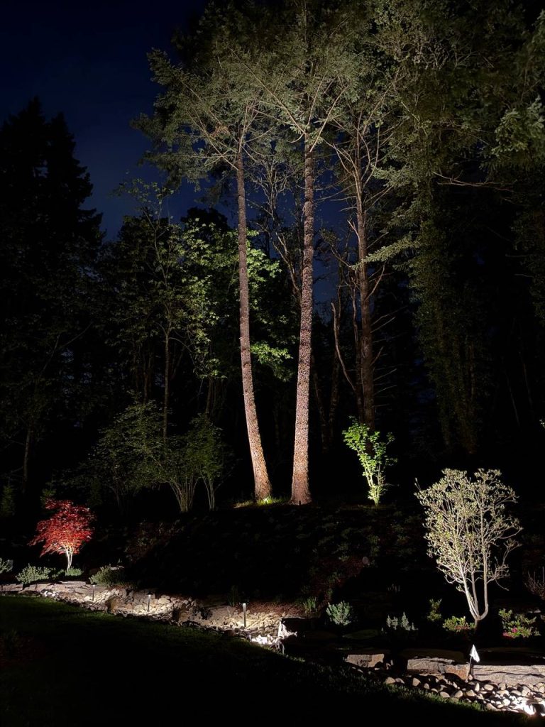 Landscape Lighting image 9