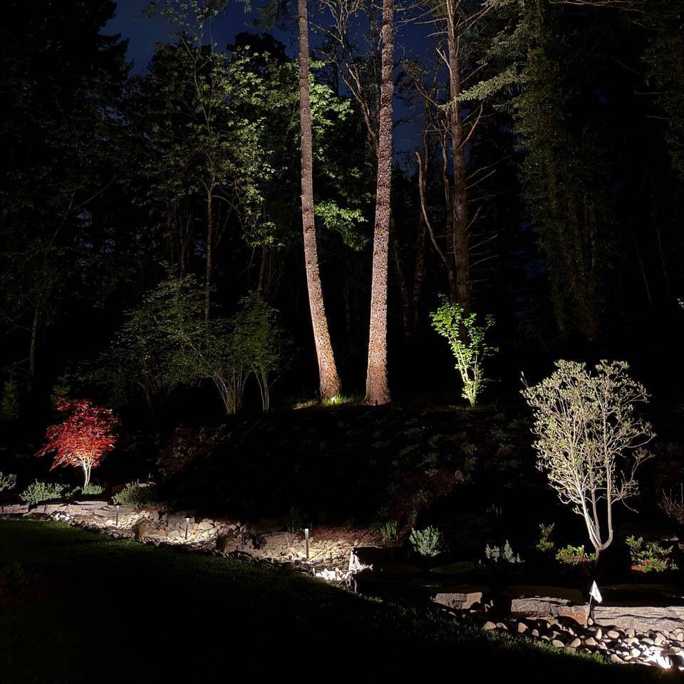 Backyard Landscape Lighting