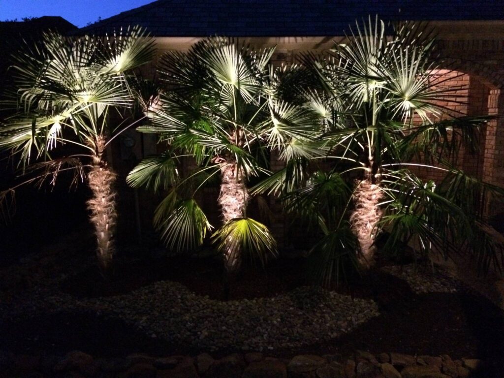 landscape lighting