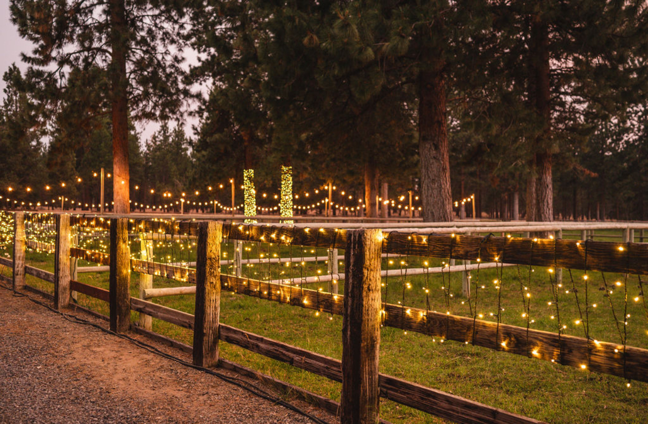 Outdoor Lighting