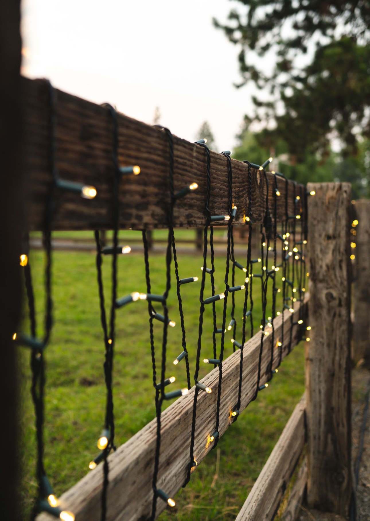 Backyard Lighting
