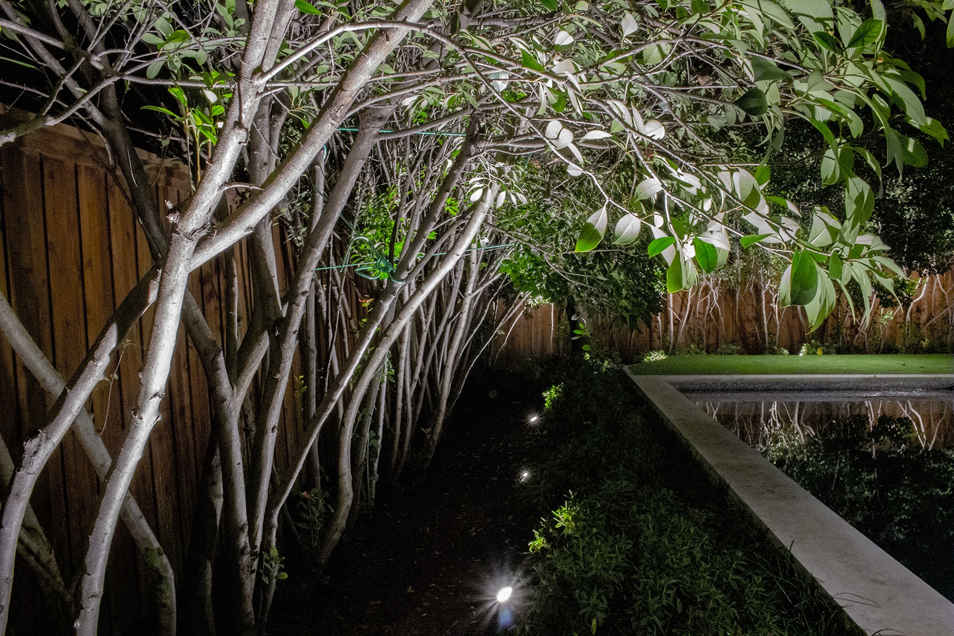 Backyard Lighting