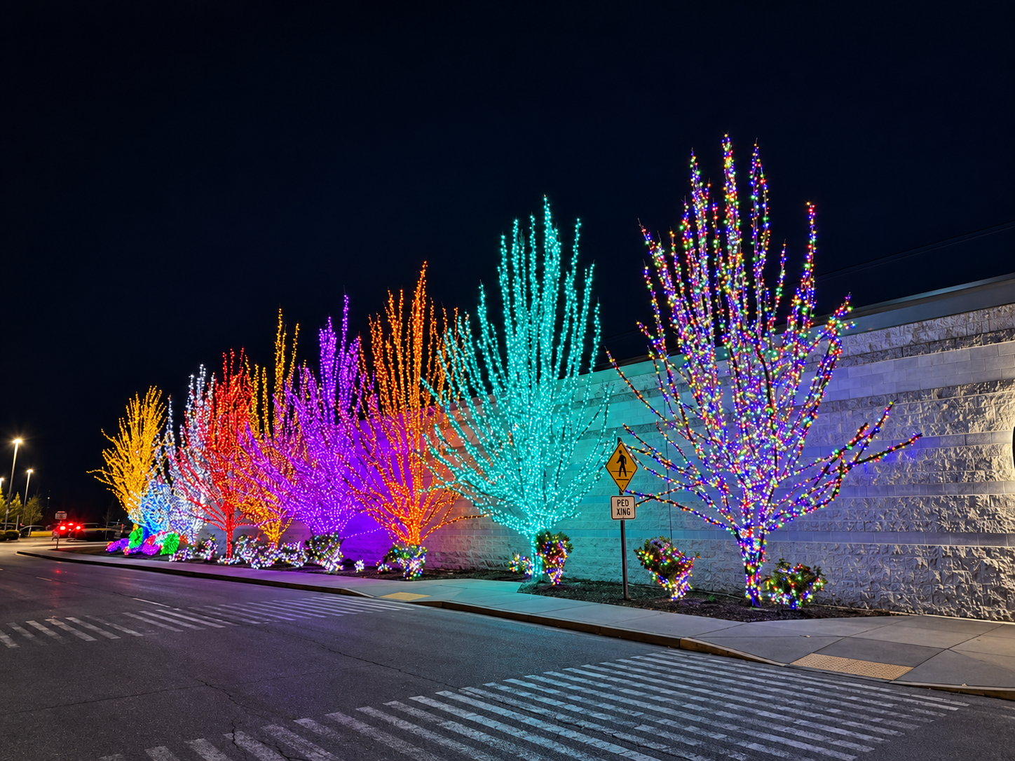 A colorful holiday tree display by CLG Outdoor Lighting
