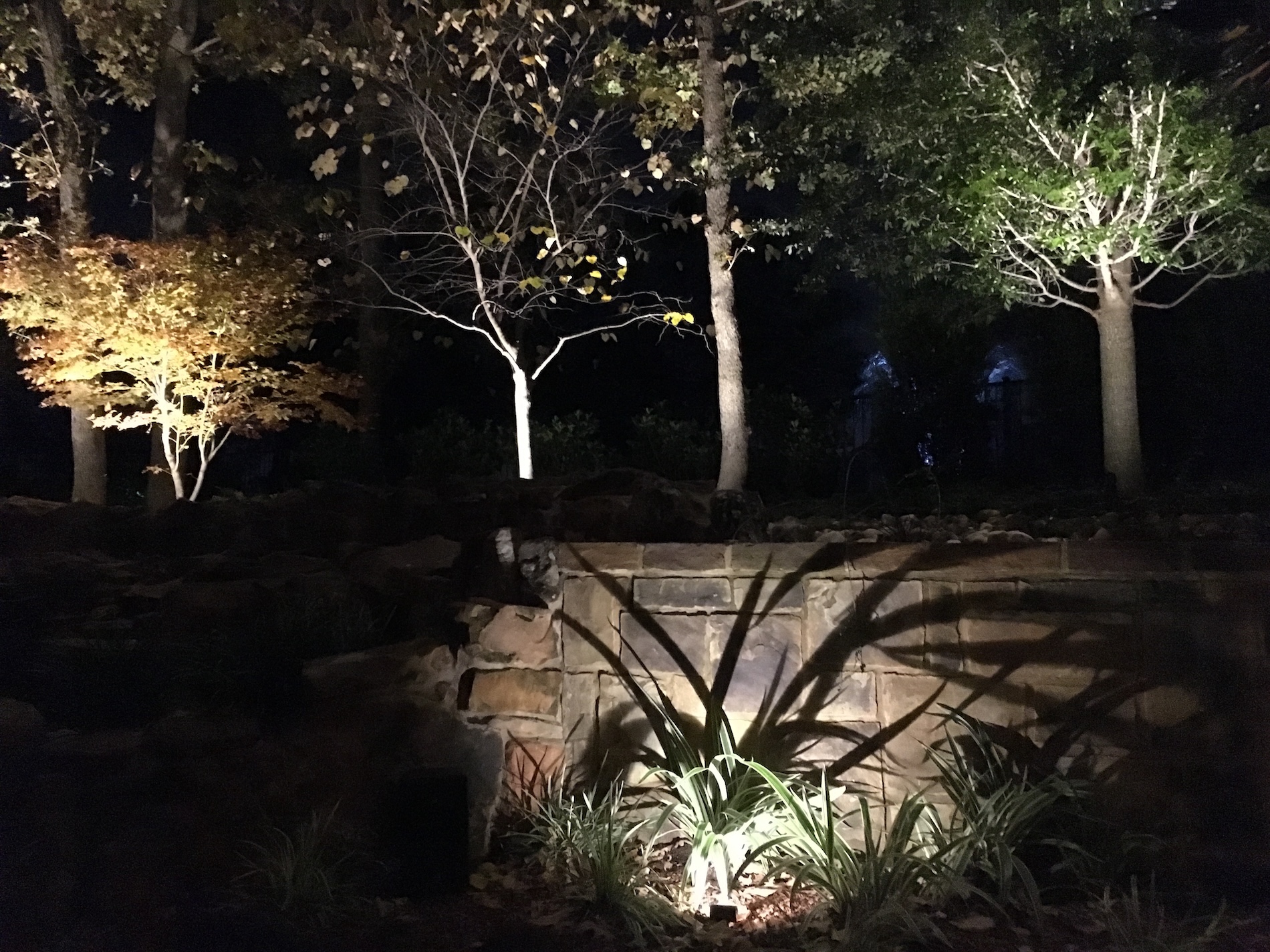 Landscape Lighting