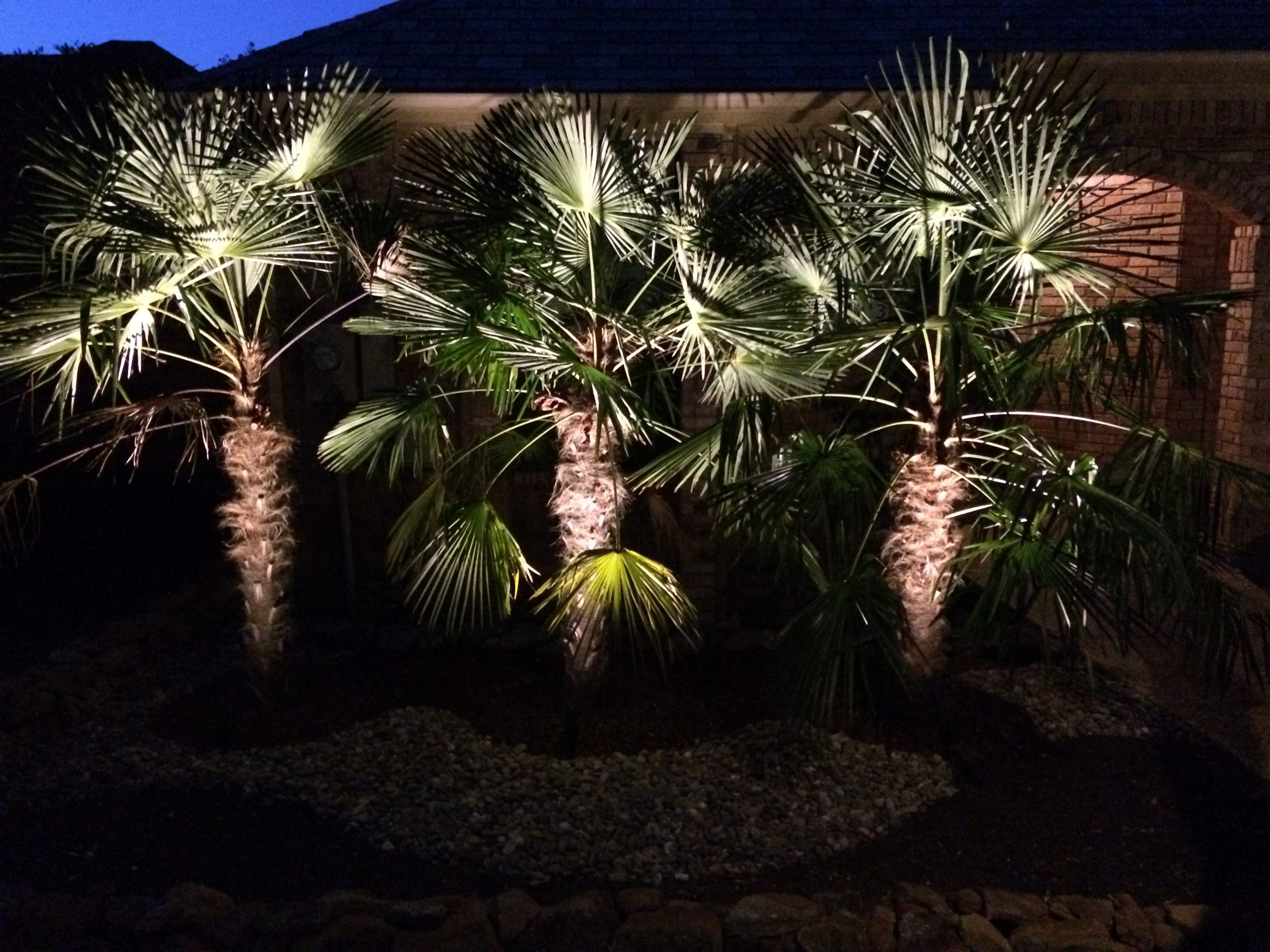 Landscape Lighting