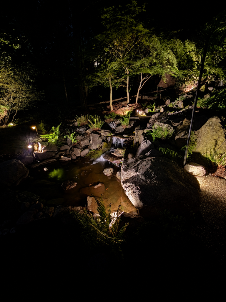 Illuminated water feature and surrounding garden at night